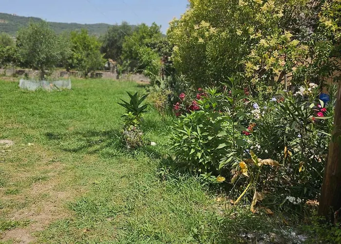 度假居 Mitsos House 莫拉蒂卡