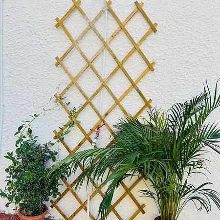 Vakantiehuis Mitsos House Moraḯtika